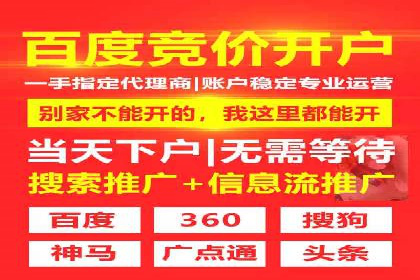 深入了解SEM代运营服务公司的技术实力